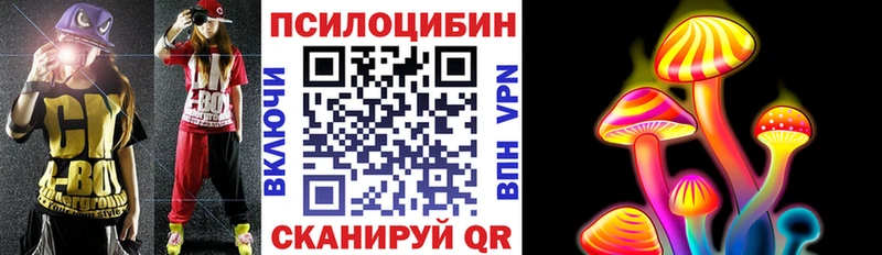 блэк спрут зеркало  Малаховка  Псилоцибиновые грибы Cubensis  как найти закладки 