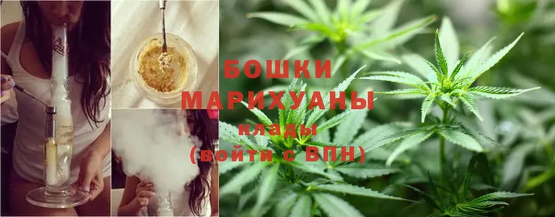 МАРИХУАНА SATIVA & INDICA  где найти   Малаховка 